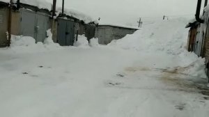 Пассат б5, v6, полный привод