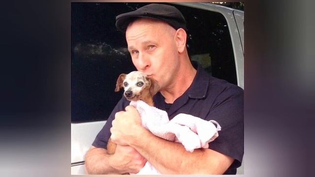 Старую собаку бросили на обочине... смотреть онлайн