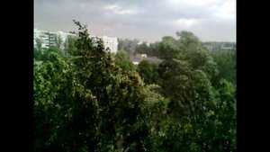 Трубные звуки