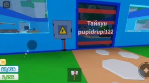 играем  в Roblox такую блогеров.