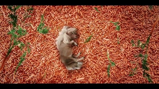 Сны маленького пони смотреть онлайн