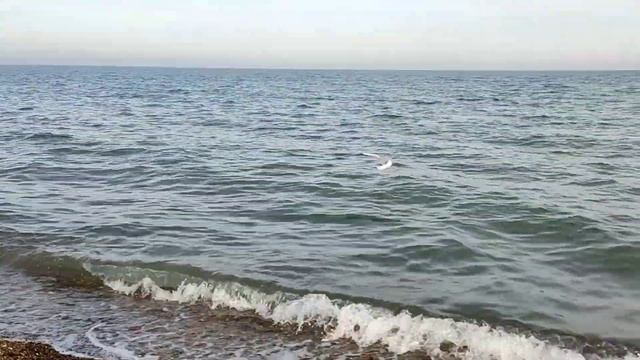 Любимая Тамань. Прогулка по набережной у моря.