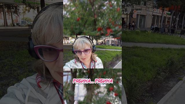 Рябина... Рябина