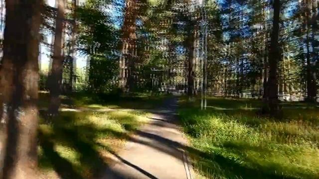 Сквер Демакова (г. Заречный) от бизнес-инкубатора до Станции юного техника. Прогулка. Август 2018