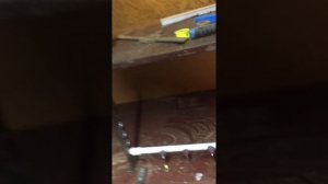 Брудер для перепелов своими руками из старого шкафа...