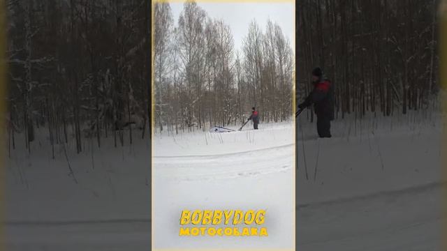 Мотособака Бобби Дог Всесезонная Малышка