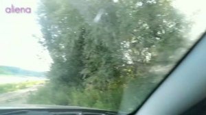 Отдых на ПРИРОДЕ с НОЧЕВКОЙ р.Ока!  Кемпинг с детьми в палатках!
