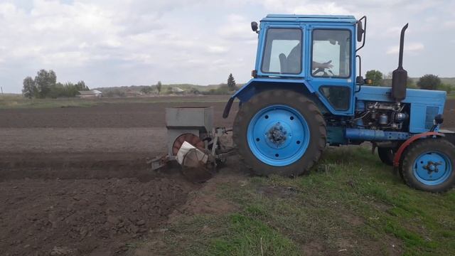 МТЗ-80 УК Чешская 2-х рядная сажалка посадка картошки смотреть онлайн