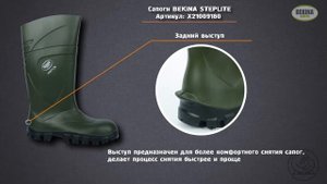 Сапоги Bekina Steplite (X2100/918)
