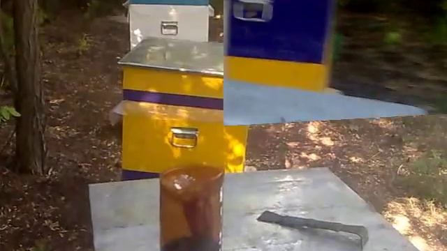 Ловушка для ос на пасеке. Пчеловодство смотреть онлайн