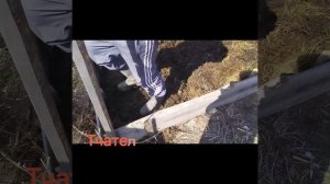 Как сделать навозную грядку своими руками