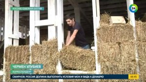 Дом из соломы. Эфир от 9.09.2016