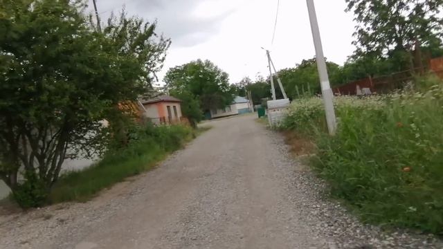 Прогулка перед отьездом. Проблема с донатами. Одноглазую киску стерильнули. Б.Женя и хвостики. смотреть онлайн