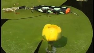 Ловля на попперы