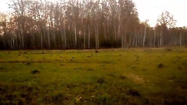 Видео. Природа Новосибирска. Поле за деревней Бугры. КРАСОТА. ПТИЧКИ ПОЮТ. ВЕСНА. смотреть онлайн