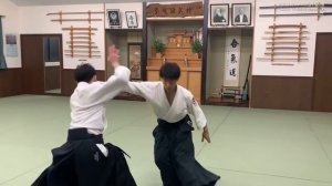 Aikido ‐ Dynamic throw each other