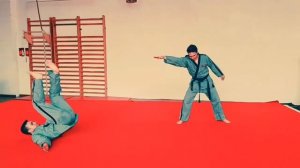 Sin Moo Hapkido, programme de la ceinture verte 2