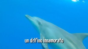 Salvo Pesce ft. Monia Santoro & Giuseppe Scuderi - Terra Magica (Official Video)