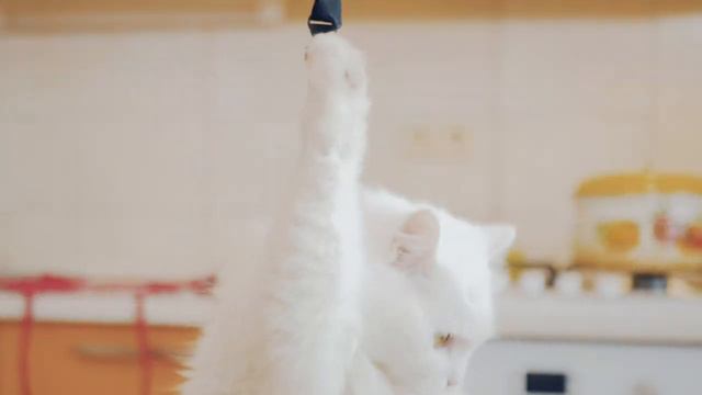 Baby Animals 4K (60 FPS) UHD - The Ultimate Baby Animals Compilation With Relaxing Music смотреть онлайн