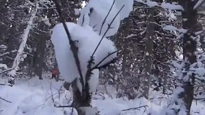 Охота с квадроциклом