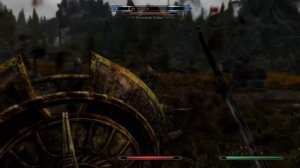 Skyrim SE: Immersive Patrols