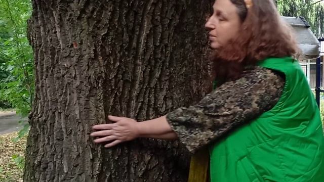 Елена Чижова. Реликтовый дуб.mp4