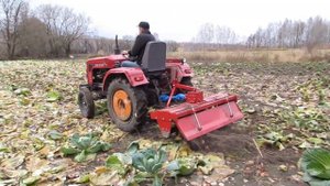Фрезерую капусту Shifeng SF 240 с фрезой 1GQN-140.