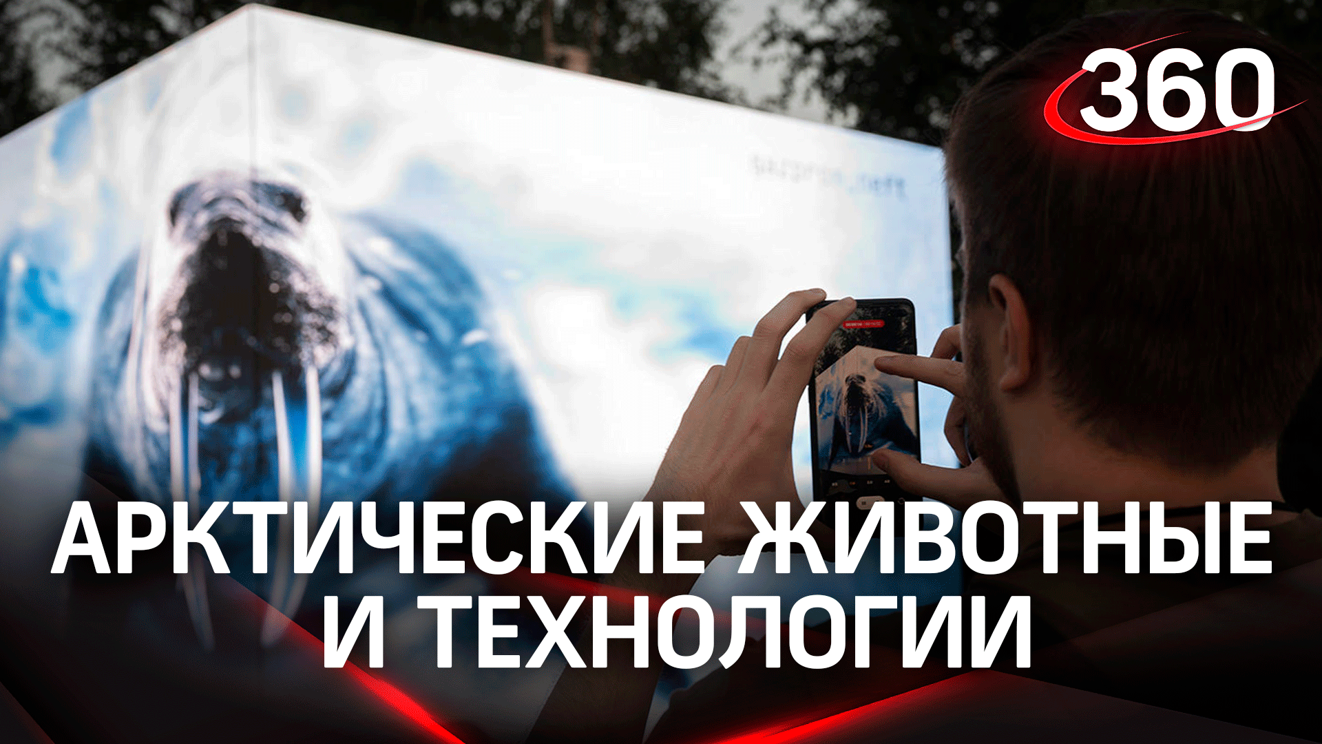 Лед в центре Москвы: в Зарядье появился арт-объект о российской Арктике