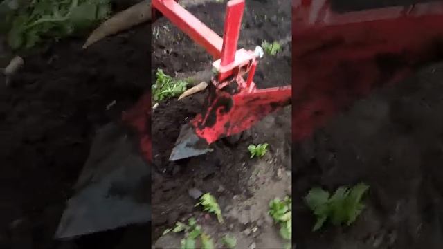 Агромаш МТ 110. Окучивание картофеля. смотреть онлайн