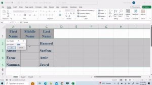 8.0 Excel Row and Column Management: Insert, Delete, Move, Copy and Hide Techniques|  #excelsteps