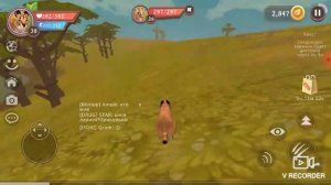 Как я играю в Wild craft.