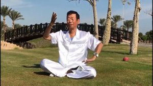 Биография Фэн Шао И - Мастера цигун и ушу.