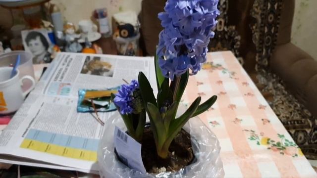 Метель,город замело!❄Дыня гигант!?Подарок от сестры!?