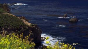 Татьяна Никитина - ЛЮБЛЮ ТЕБЯ, МОЯ РОССИЯ - видеомонтаж videostudio ~TATYANA~, Миасс, 2016г