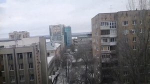 Охота на палочника из Самары!