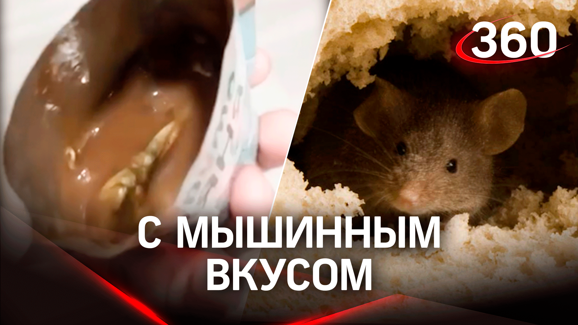 Мышь в Фрутоняне - находка жительницы Ямала, правда или фейк?
