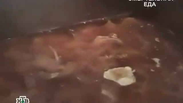 Нитраты и химия в продуктах смотреть онлайн