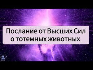 Послание от Высших Сил о тотемных животных. Автор:Ольга Турлюк