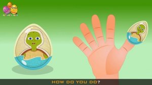Tortise  Surprise Egg |Surprise Eggs Finger Family| Surprise Eggs Toys Tortise