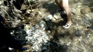 Замечательное место для отдыха. Азербайджан, Гах, Лекит, Илису, Qax, Lekid, İlisu, Ulu körpü, Kurmu