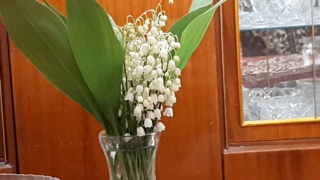 Цветы для мамы.