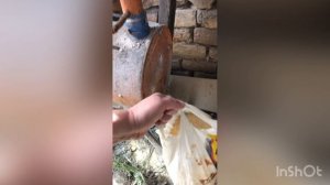 Будни фермера. И неожиданный пир Розы.