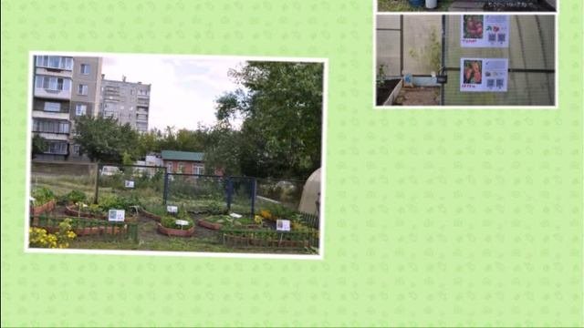 Огород