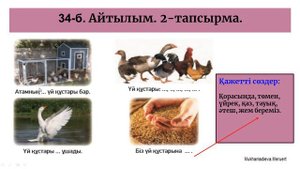 Қазақ тілі. 3-сынып. 11-сабақ. Үй құстары