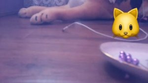 КАК СДЕЛАТЬ ОБОДОК С КОШАЧЬИМИ УШКАМИ!?!??!/LIZKA