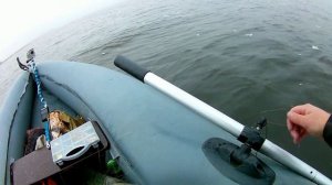 ЛОВЛЯ СУДАКА НА ТЮЛЬКУ.Ставлю поставушки.река ВОЛГА.
