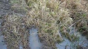 Mitsubishi Padjero-2 и внедорожье