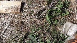 Комбайн Нива рулевой дозатор снятие установка ( ремонт часть3)