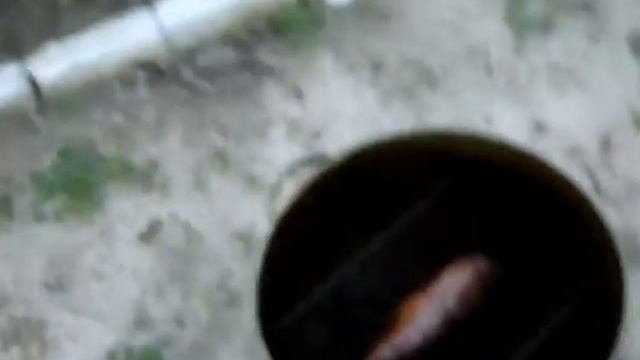 Копчение скумбрии смотреть онлайн