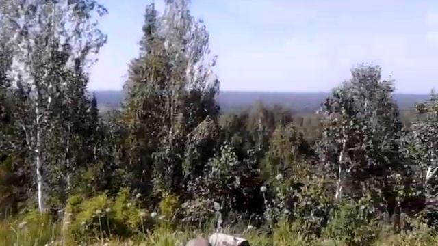 Вид с горы Пихтовый Гребень смотреть онлайн